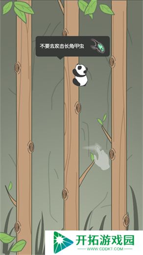 熊猫爬树