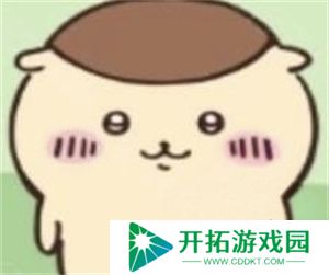 ChiikawaPocket