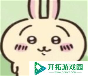 ChiikawaPocket