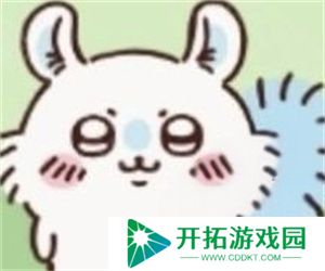 ChiikawaPocket