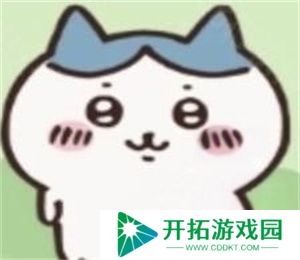 ChiikawaPocket
