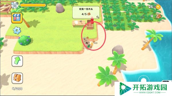 岛上有猫