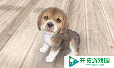 降价96%！任天堂热门游戏精神续作仅卖14块！