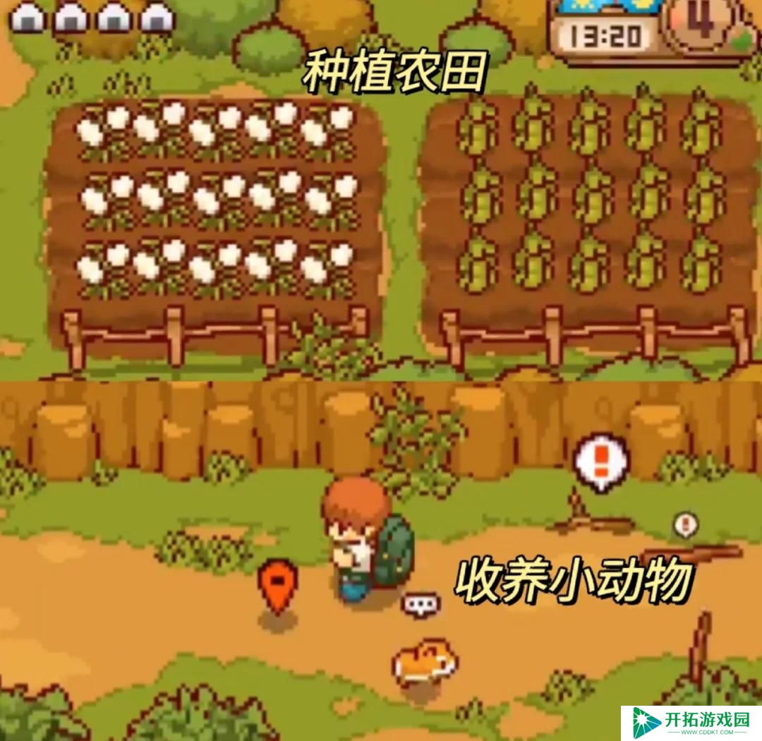 summer田舍生活