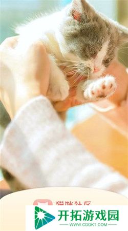 猫咪社区gps