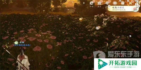 射雕手游木槿花怎么收集 木槿花收集方法介绍