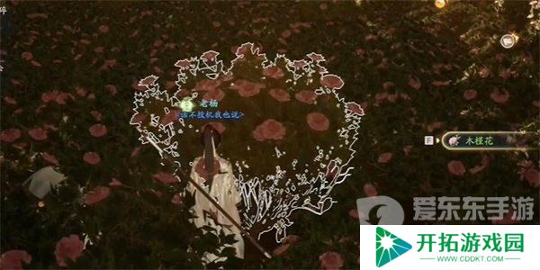 射雕手游木槿花怎么收集 木槿花收集方法介绍