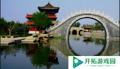 洛克王国宠物对战技巧秘籍#成为对战高手&