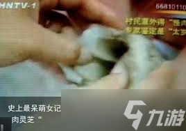 惊爆！女记者与太岁背后竟藏如此惊人秘密