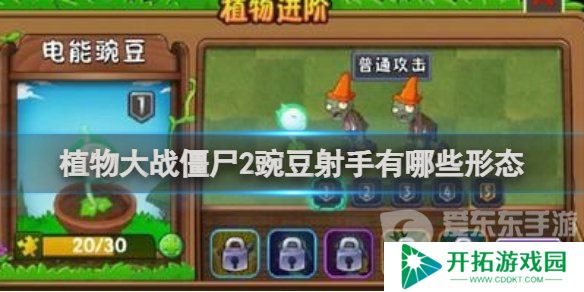 植物大战僵尸2豌豆射手形态是什么 植物大战僵尸2豌豆射手形态图鉴