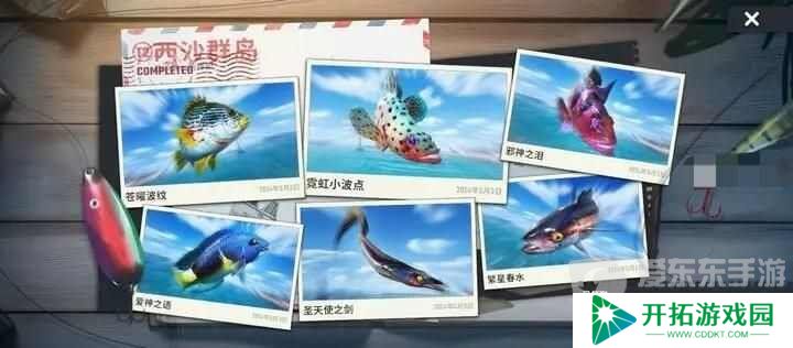 欢乐钓鱼大师T3新地图鱼类图鉴 T3新地图鱼类一览