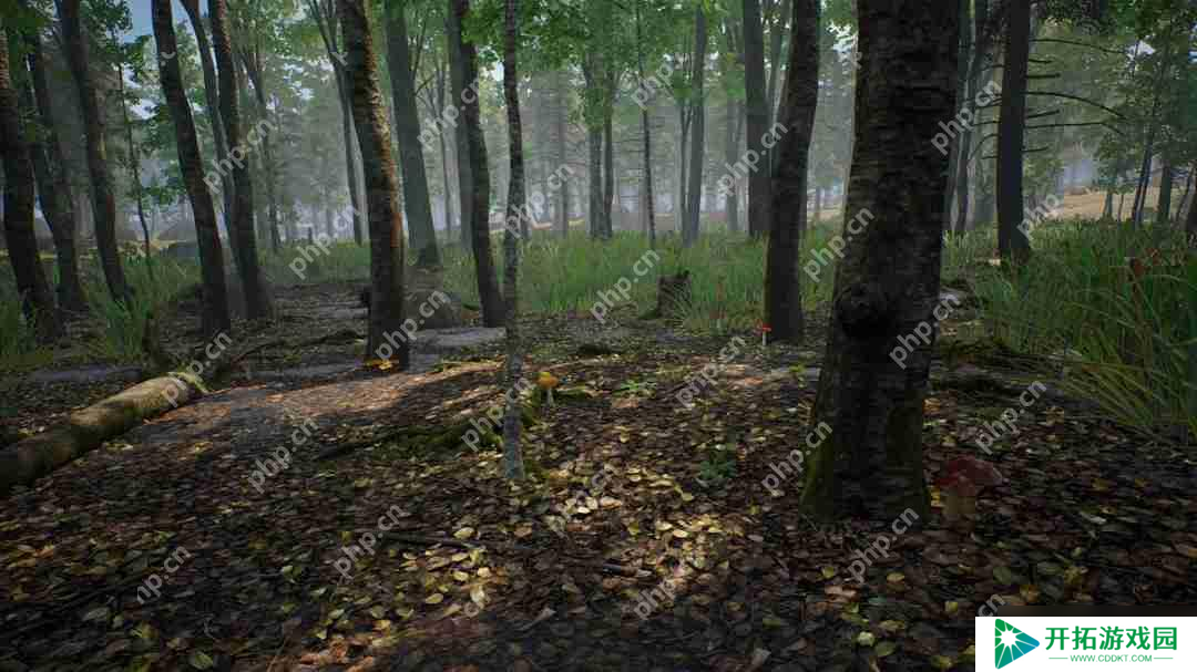采蘑菇模拟游戏《蘑菇猎人模拟器》上架Steam Q3发售
