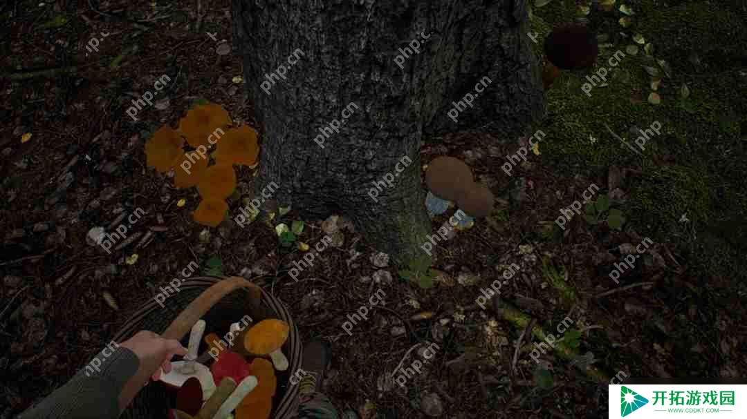 采蘑菇模拟游戏《蘑菇猎人模拟器》上架Steam Q3发售