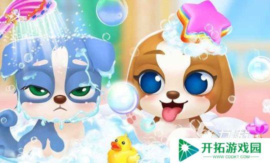 优质的莉比宠物游戏大全2025 莉比宠物游戏哪些值得玩