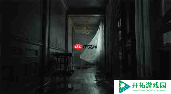 《生化危机9：安魂曲》IGN试玩报告：可自由切换视角