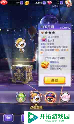 天天酷跑3D白玉灵猫怎么样 白玉灵猫实用性评测[多图]