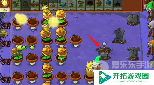 植物大战僵尸杂交版冒险模式第七关怎么过 冒险模式第七关攻略详解
