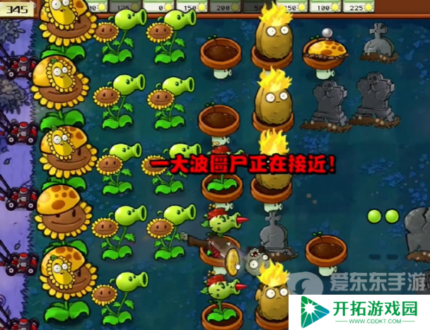 植物大战僵尸杂交版冒险模式第五关怎么过 冒险模式第五关通关攻略