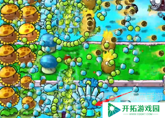 植物大战僵尸杂交版冒险模式第十五关怎么过 冒险模式第十五完美通关攻略