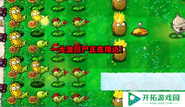 植物大战僵尸杂交版冒险模式第三关怎么过 冒险模式第三关通关攻略