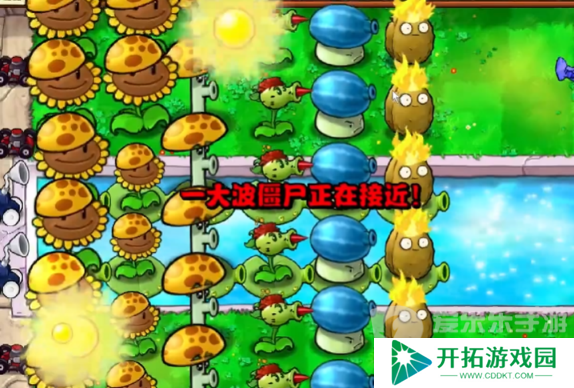 植物大战僵尸杂交版冒险模式第十一关怎么过 冒险模式第十一关通关攻略