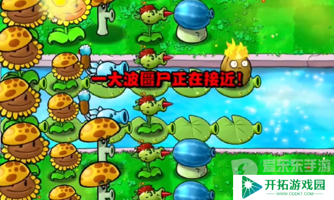 植物大战僵尸杂交版冒险模式第十二关怎么过 冒险模式第十二关完美通关教程