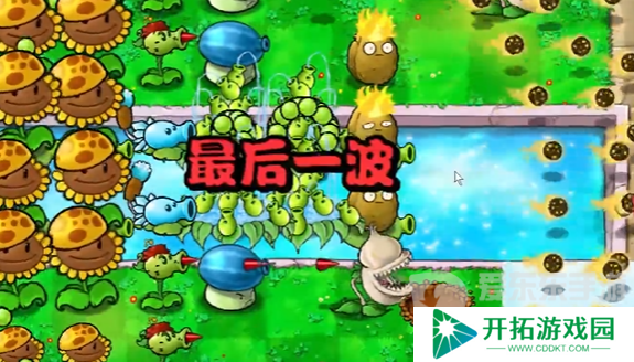 植物大战僵尸杂交版冒险模式第十四关怎么过 冒险模式第十四关通关布局