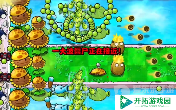植物大战僵尸杂交版冒险模式第十五关怎么过 冒险模式第十五完美通关攻略