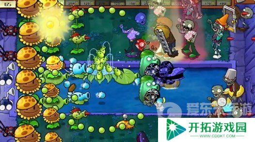 植物大战僵尸杂交版冒险模式第二十关怎么过 冒险模式第二十关图文攻略