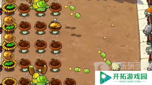 植物大战僵尸杂交版冒险模式第二十五关怎么过 冒险模式第二十五关通关攻略