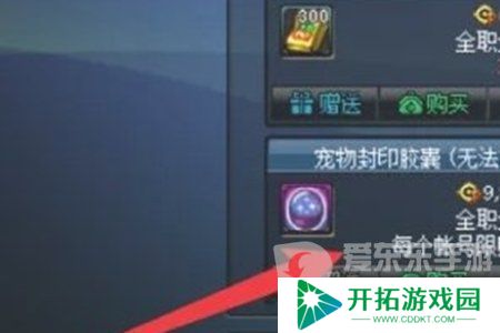 地下城与勇士起源宠物封印胶囊怎么用 宠物封印胶囊使用方法