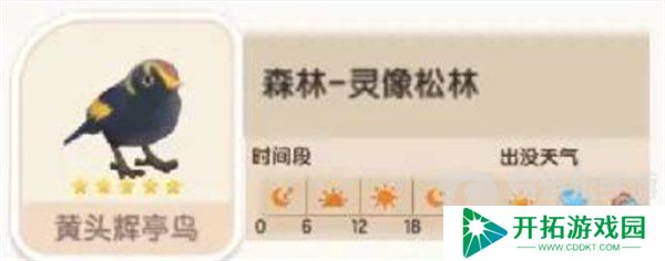 心动小镇黄头辉亭鸟在哪出没 黄头辉亭鸟位置