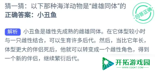 揭秘：哪种海洋生物既为雌也为雄？