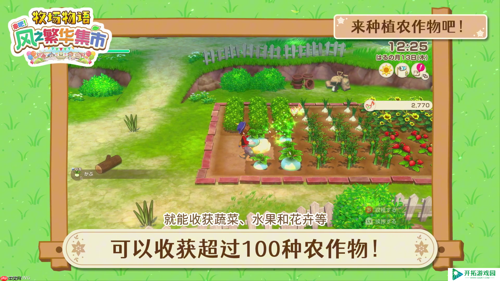 《牧场物语 来吧！风之繁华集市》 系统介绍影片