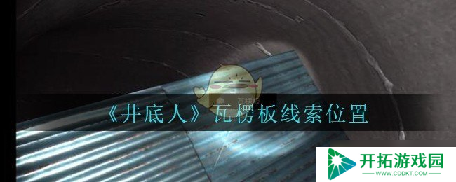 孙美琪谜案：探寻井底瓦楞板的秘密所在