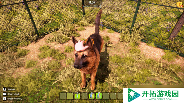《动物收容所 2》7月23日正式上线 Steam同步更新