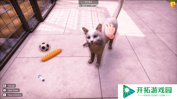管理经营游戏《动物收容所 2》7月23日在Steam商店正式上架